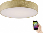 Paul Neuhaus QВ® LED Decken- und Wandleuchte Q-KIAR