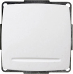 GAO  Einsatz Wechselschalter Trend Weiss EFS100A hw