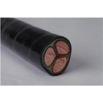4.001.001.017 Zhuozhong Cable Cross-Linked PE Insulation Power Cable 0.6/1kV 3?16