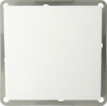 GAO  Einsatz Kreuzschalter Modul Weiss EFP100B