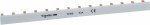 Phasenschiene   Lichtgrau 1polig  63 A  230 V/AC