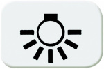 Busch-Jaeger  Abdeckung Tastersymbol "Licht"  Busc