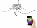 Paul Neuhaus QВ® LED Decken- und Wandleuchte Q-MALI