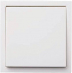 GAO  Einsatz Wechselschalter Starline Weiss 3516
