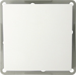 GAO  Einsatz Taster Modul Weiss EFP100D