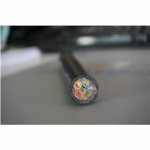 4.001.001.058 Zhuozhong Cable Cross-Linked PE Insulation Power Cable 0.6/1kV 4?16+1?10