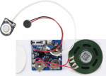 Conrad Components BRC38M Tonaufzeichnungsmodul   A