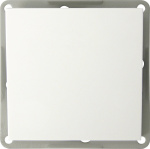 GAO  Einsatz Wechselschalter Modul Weiss EFP100A