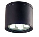 Светильник DSW6-04-C-01(S) LED 6Вт 4200К IP54 корпус серебр. Новый Свет 300028