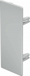 OBO Bettermann 6183840 Endstueck  (B x H) 60 mm x 1